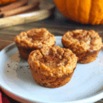 Pumpkin Spice Cottage Cheese Protein Muffins
