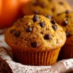 Pumpkin Chocolate Chip Muffins