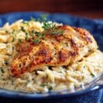 Creamy Parmesan Chicken and Orzo