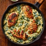 25 Minute Spinach and Artichoke Chicken Orzo