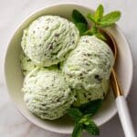 Kiwi Sorbet Recipe